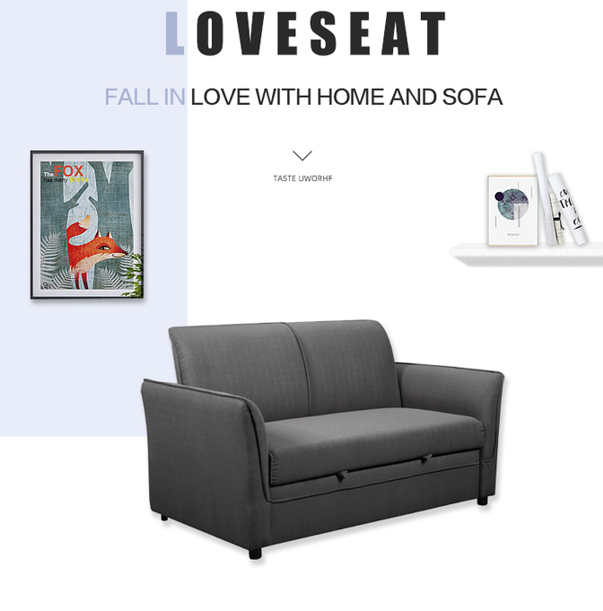OEM/ODM Furniture Manufacturer 2 seaters sofa bed high quality loveseat sleeper sofa for living room foldable sofa bed 2