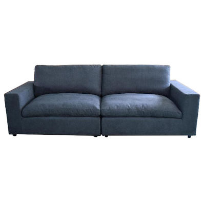 30020 Hot Selling Indoor Living Room Furniture Double Seat Sofa Modern Sofa Fabric For Home Luxury